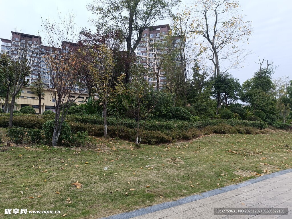 城郊绿化带景观