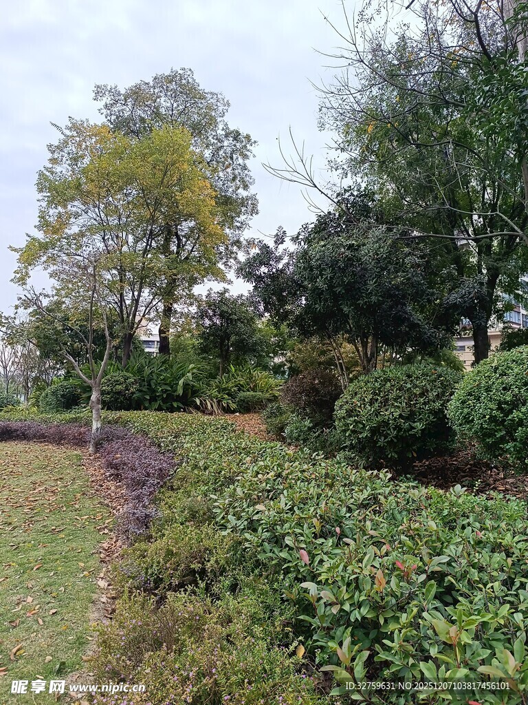 园林绿植景观一角