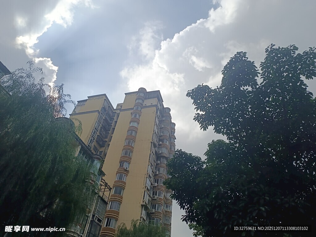 高楼矗立在绿树环绕间