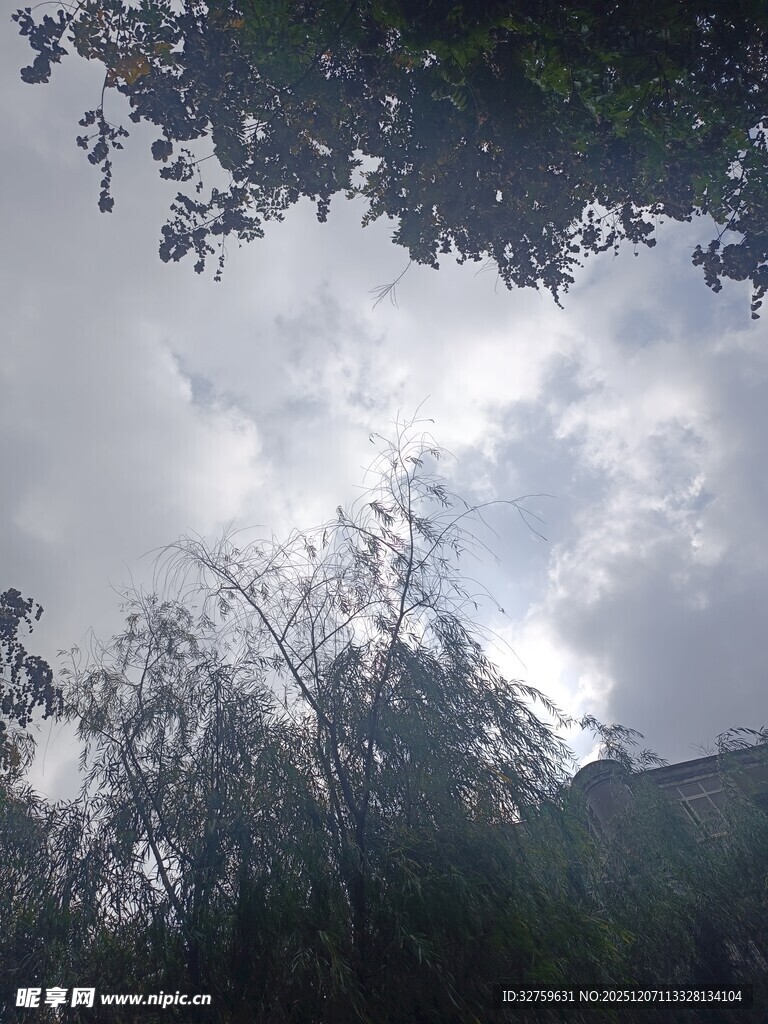 林间天空