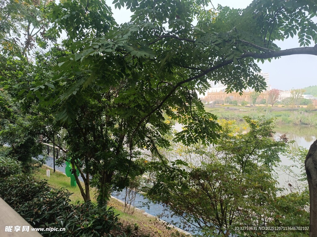 河畔绿树成荫的宜人景致