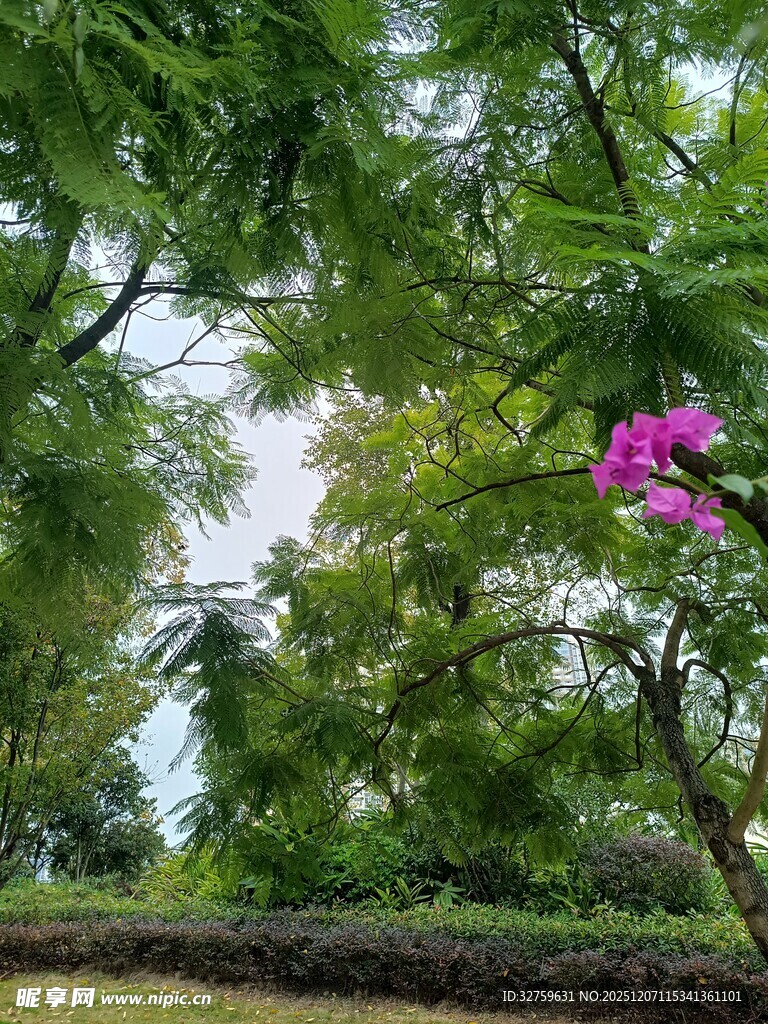 繁花绿树间的自然景致