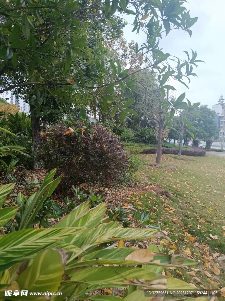 户外绿植景观一角