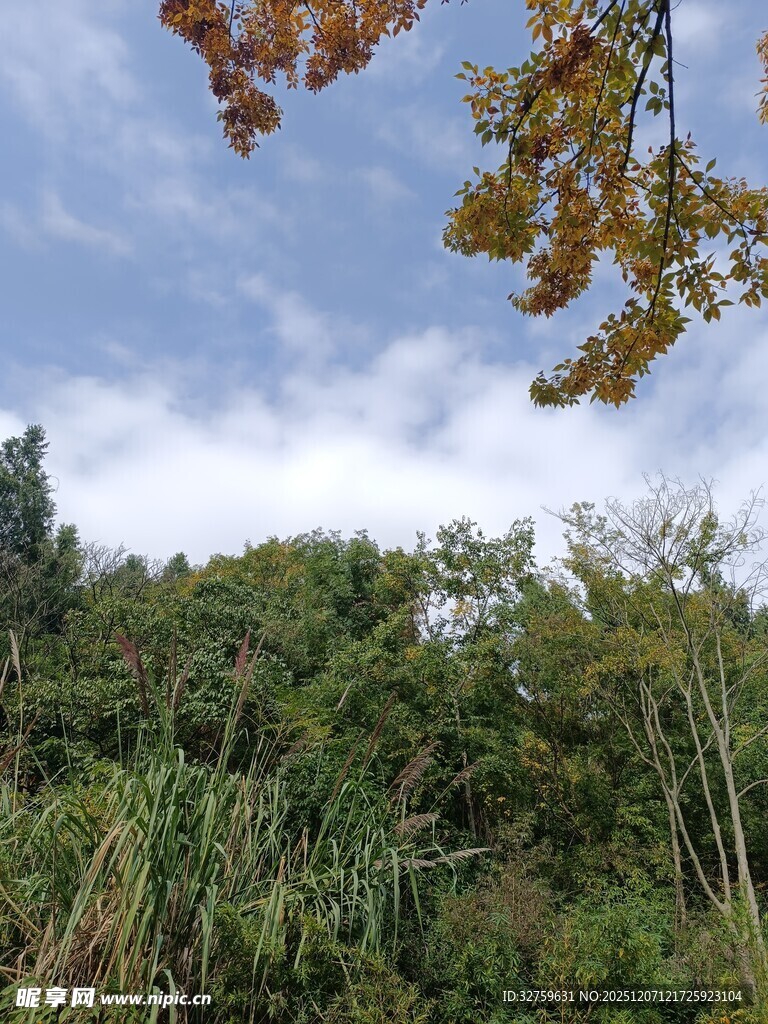 山林间的蓝天与繁茂植被