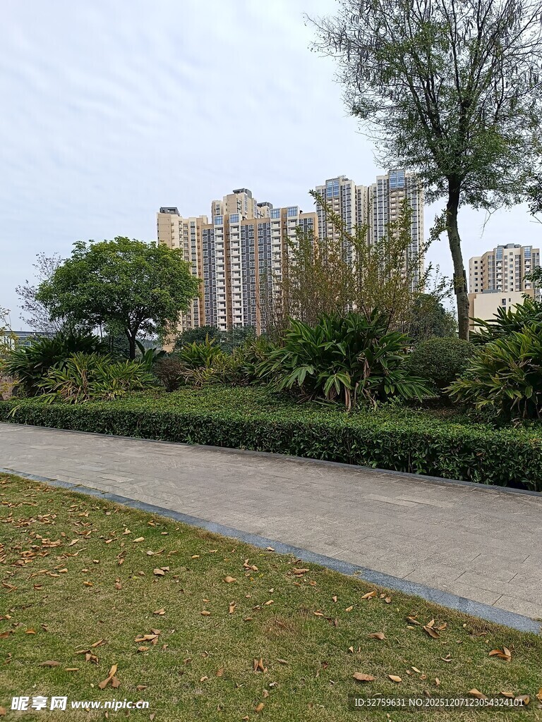 城市旁绿意盎然的休闲小径