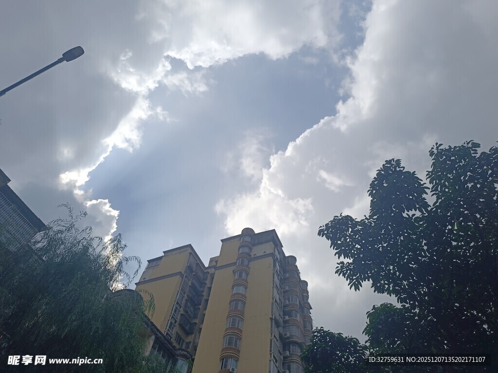 城市高楼与天空绿树景象