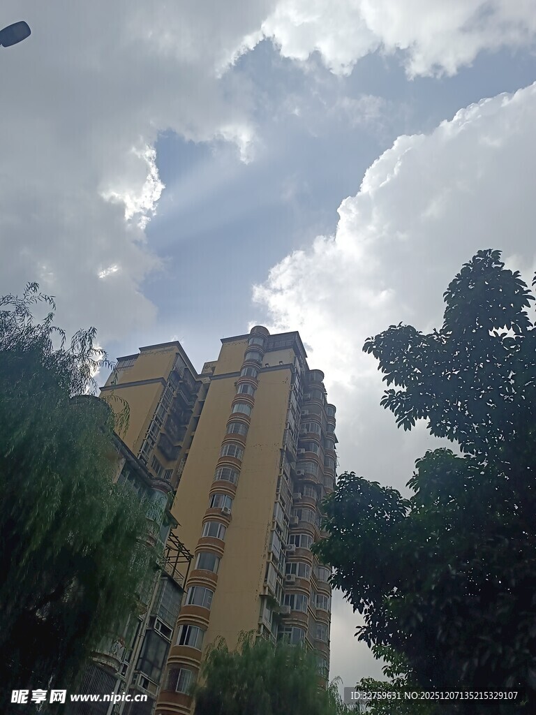 高楼矗立在绿树蓝天间