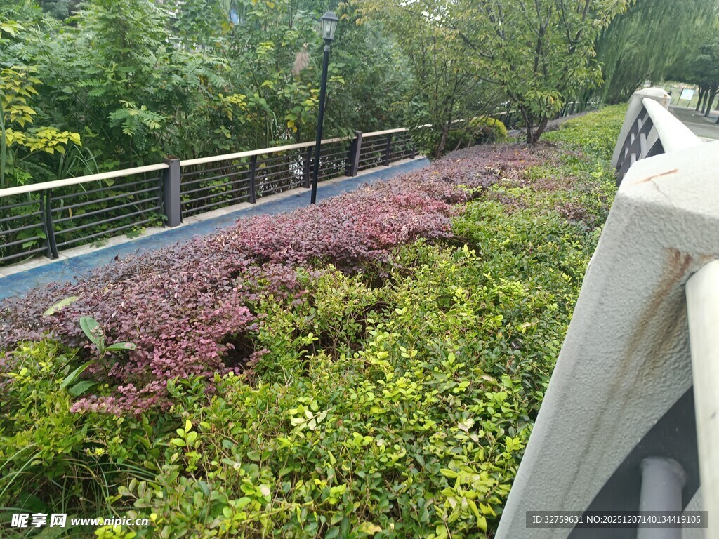 窗外多彩绿植景观