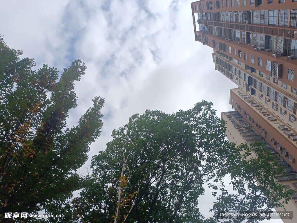 仰视绿树与高楼景象