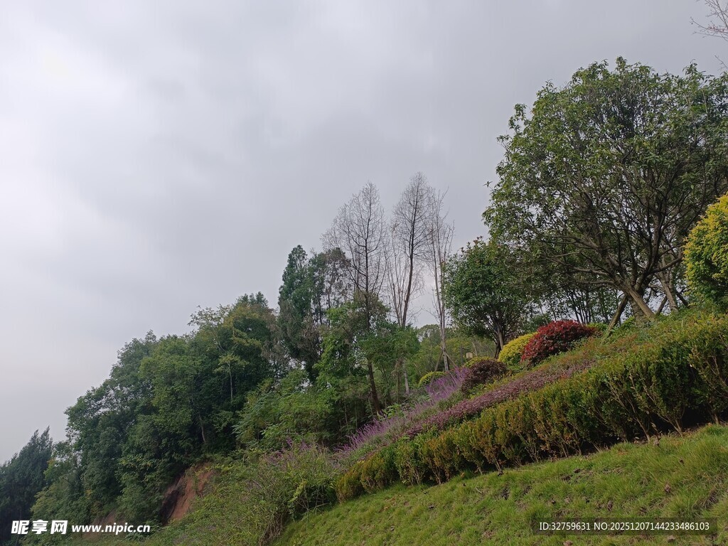 山坡绿植景观