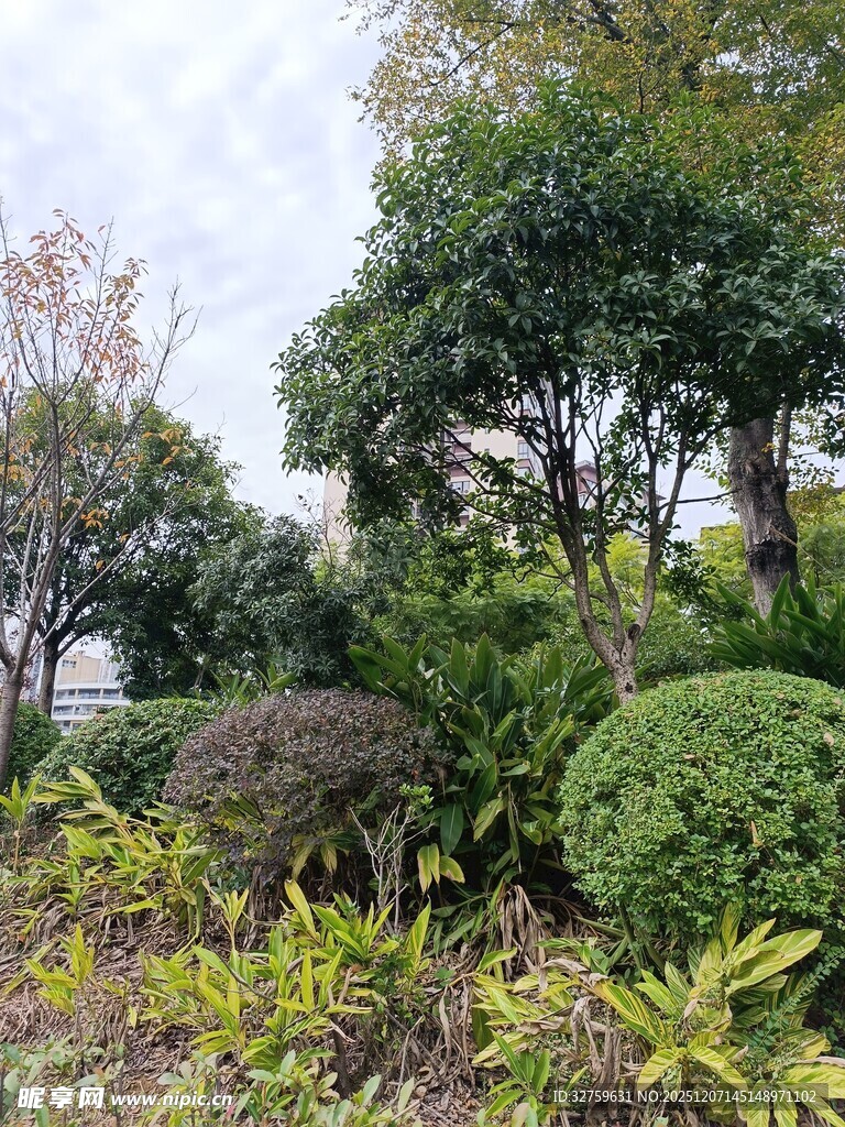 园林绿植景观一角