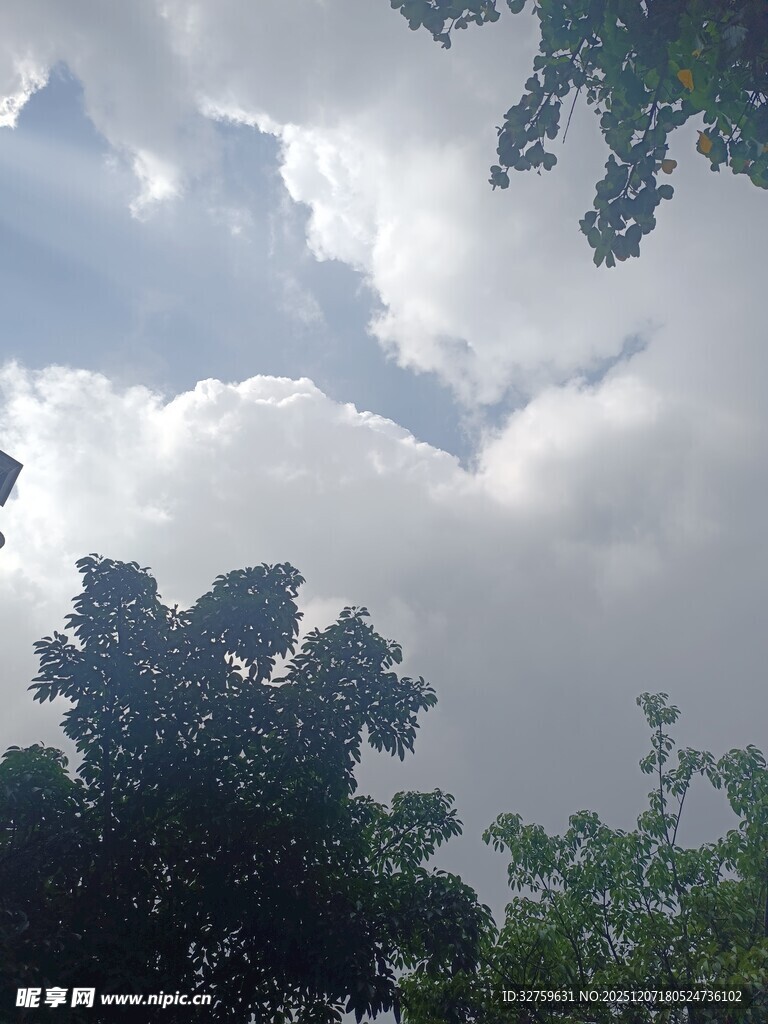 透过树梢看天空云朵