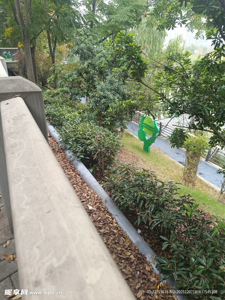 户外绿植旁的步道景观