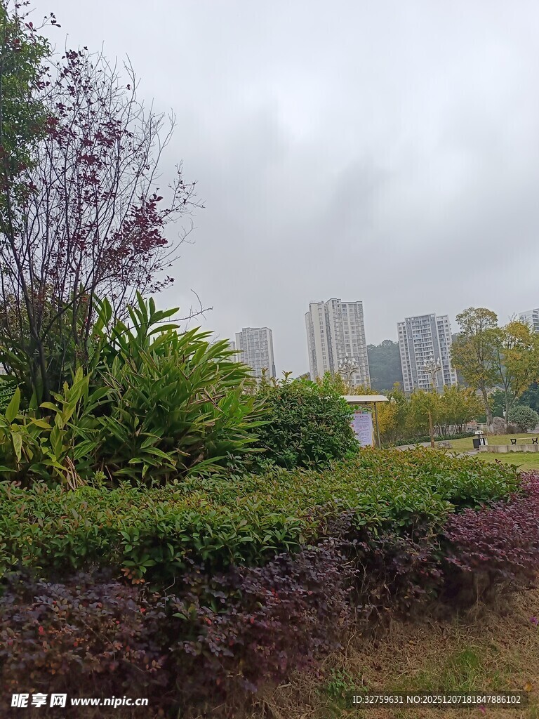 城市中的绿植景观