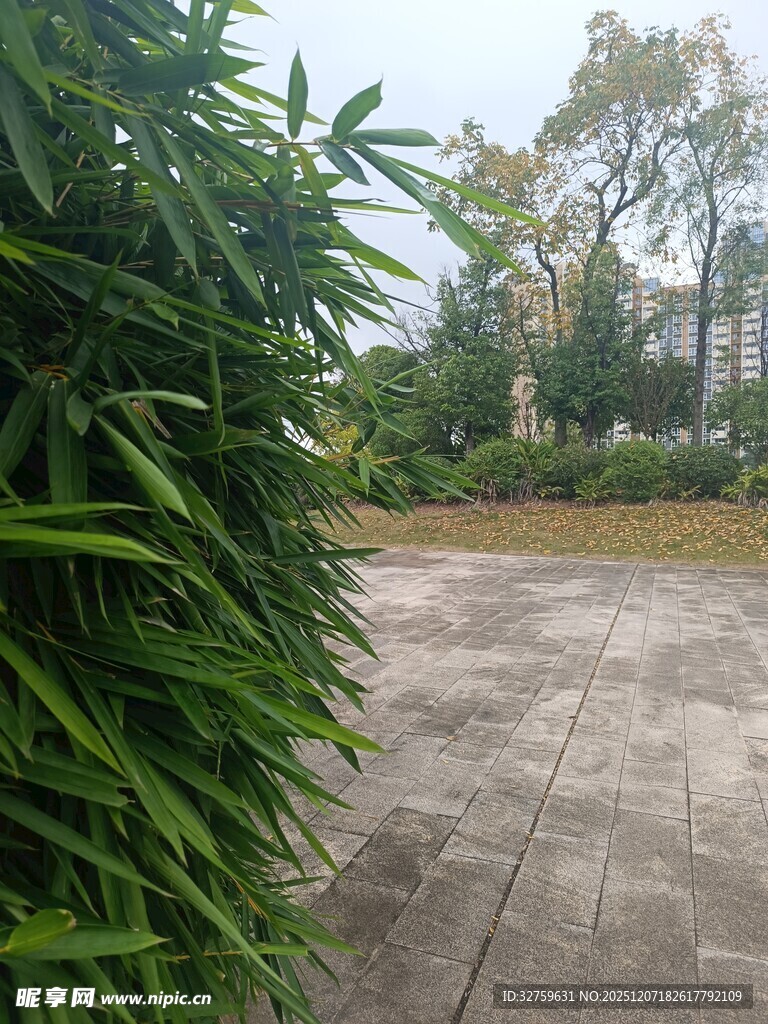 庭院绿植环绕的开阔地面