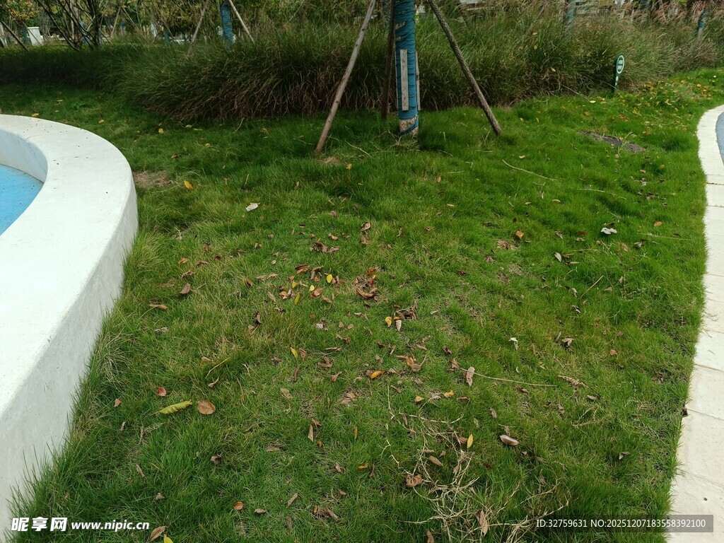 户外草坪景观一角