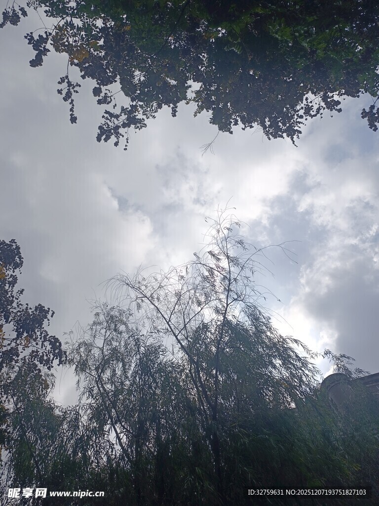 林间天空