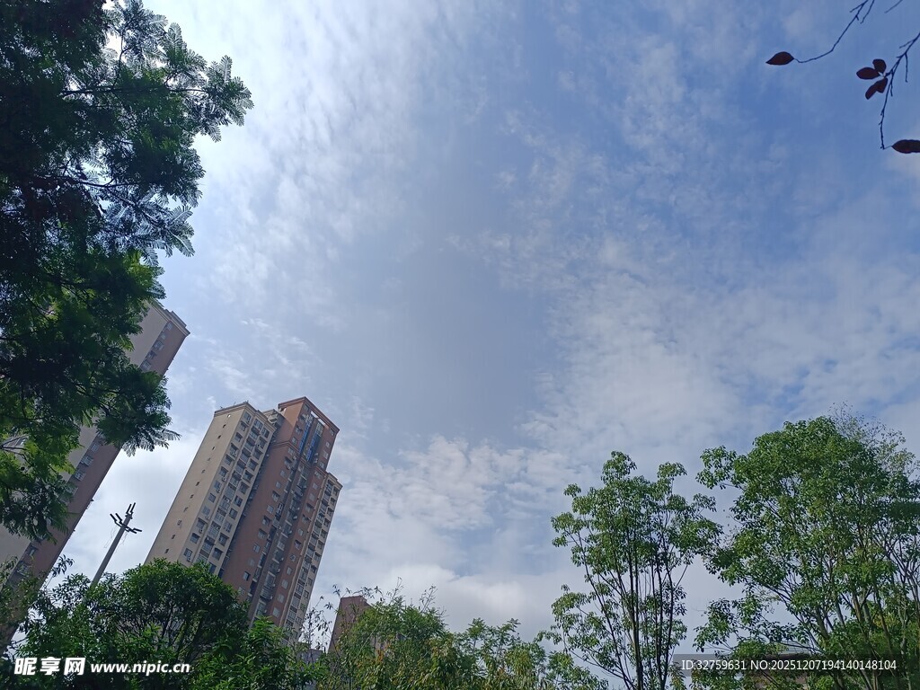 城市高楼与蓝天绿树景观