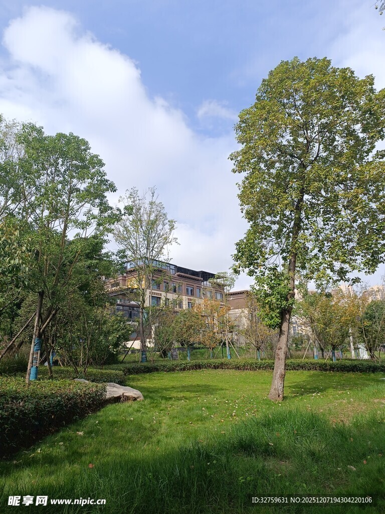 户外清新绿意园林景观