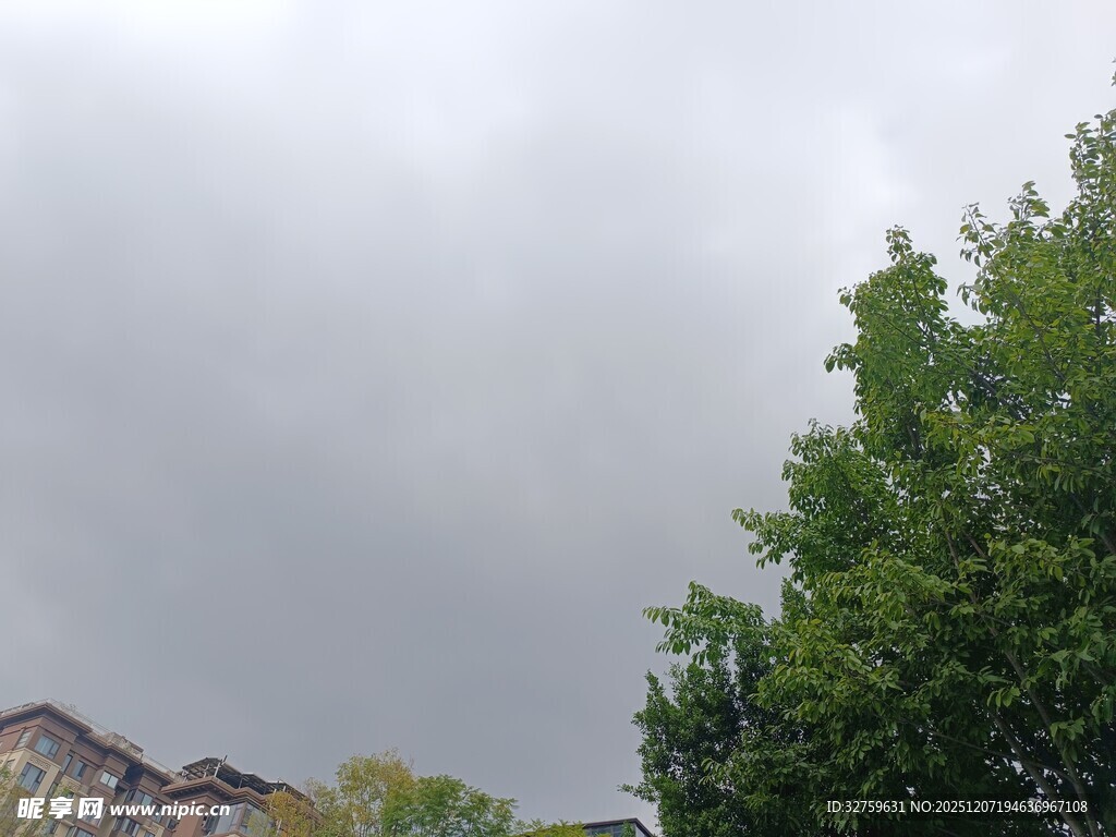 阴天时的绿树与房屋