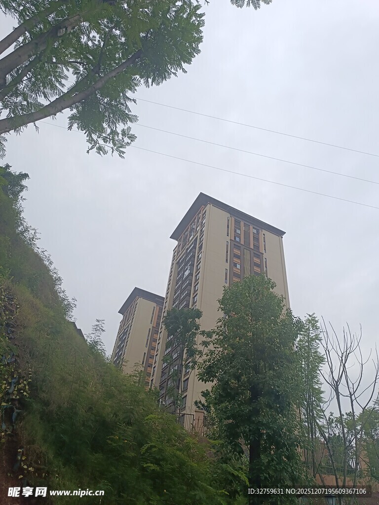 高楼矗立在绿树环绕间