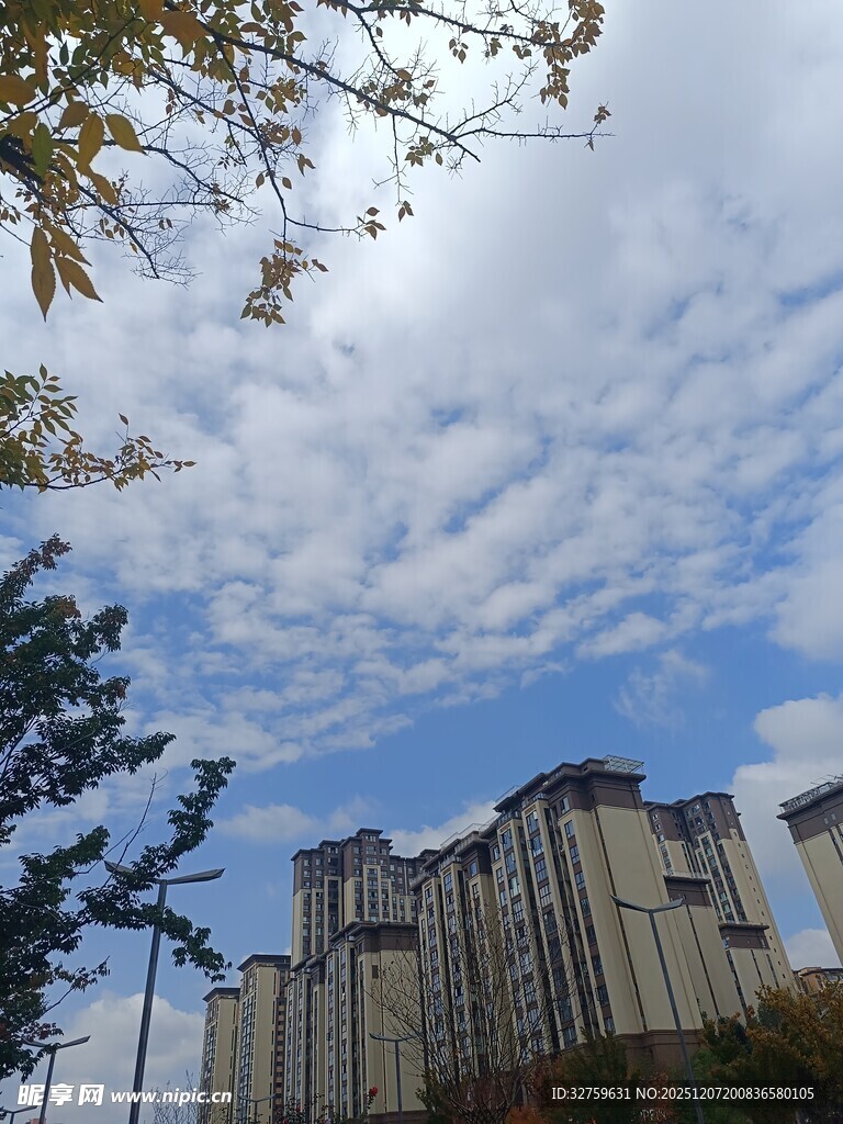 蓝天白云下的高楼景观