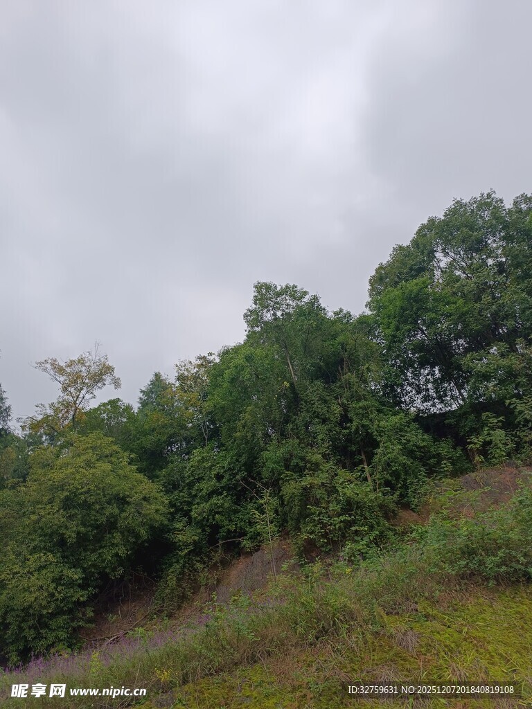 山林云雾间的绿意景致