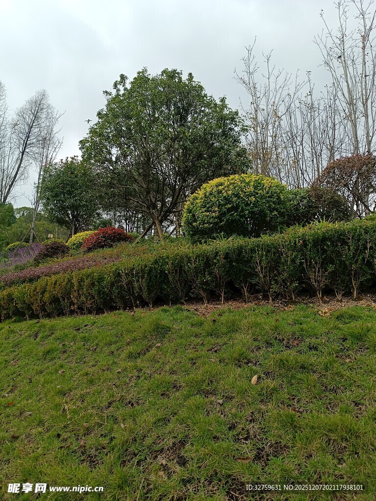 绿意盎然的户外园林景观