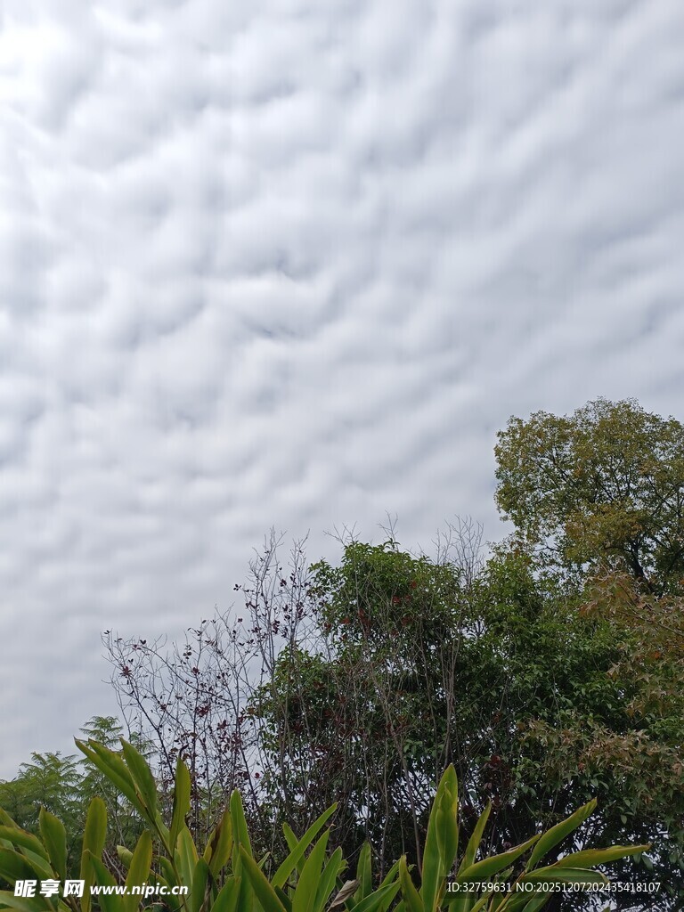 天空中奇特的波状云层