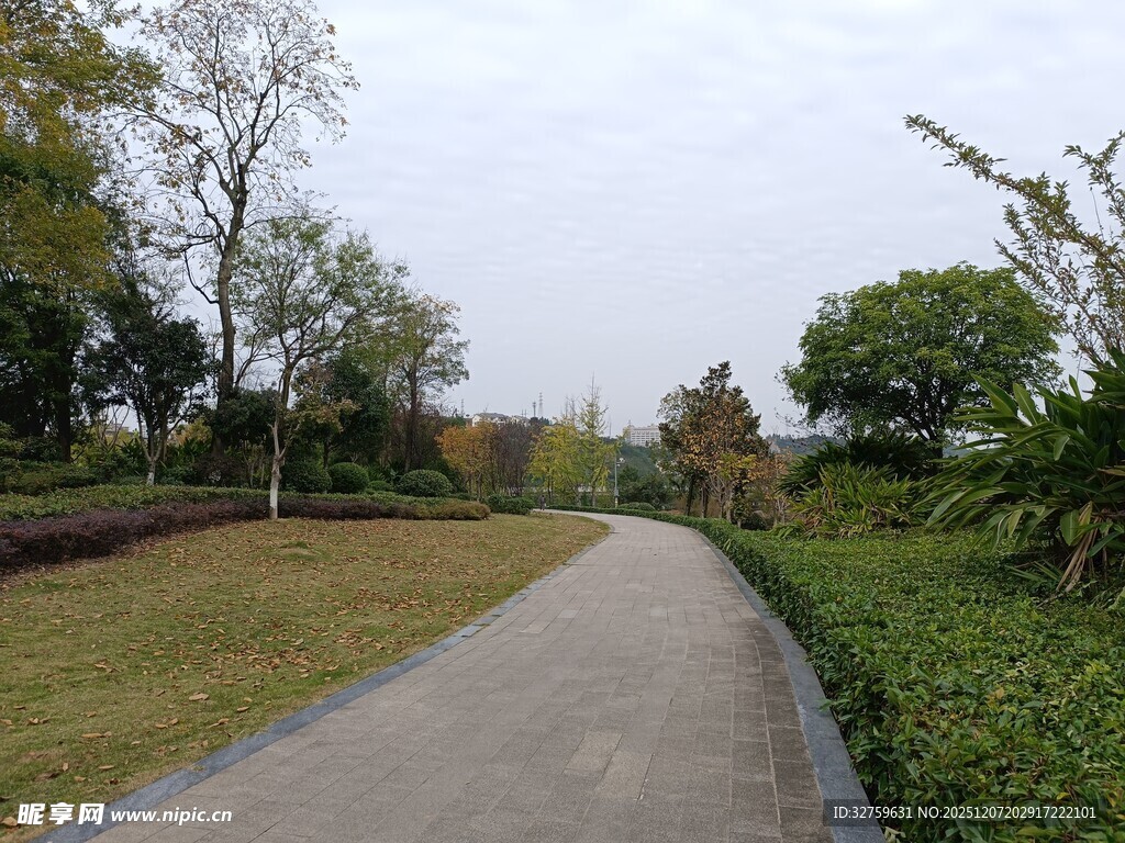 公园中的幽静小路