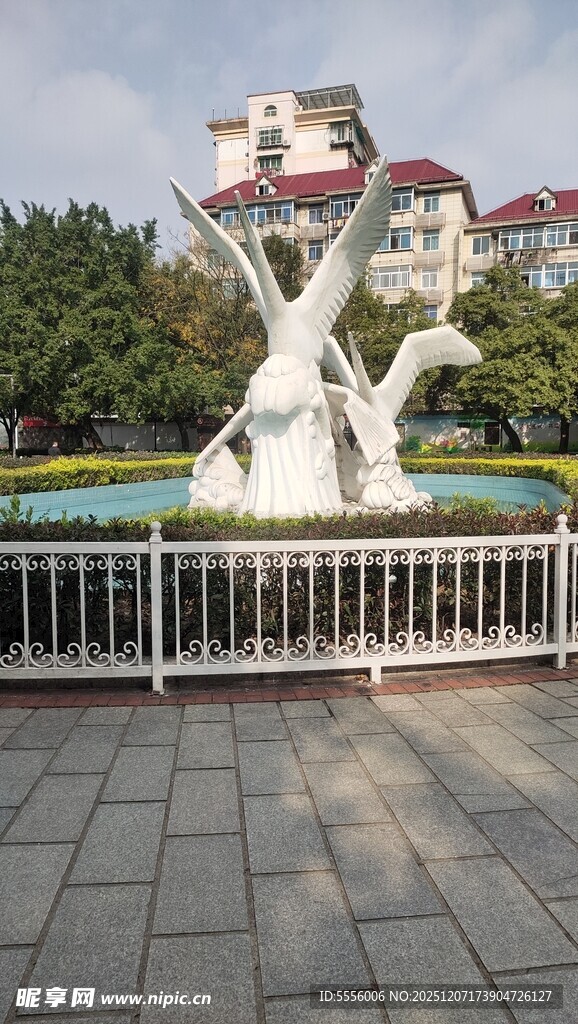 三明 地标 天鹅