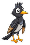 卡通黑鸟形象