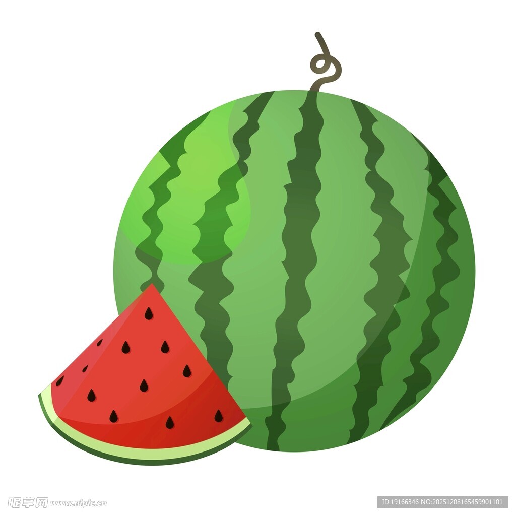 矢量西瓜
