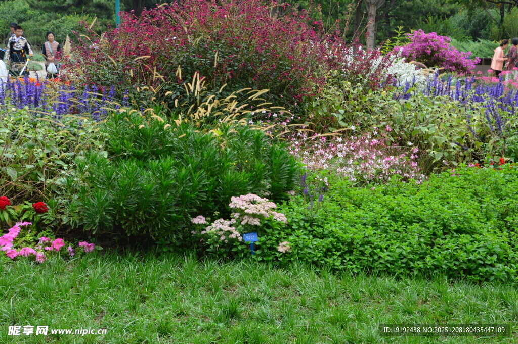 天坛花境风景  