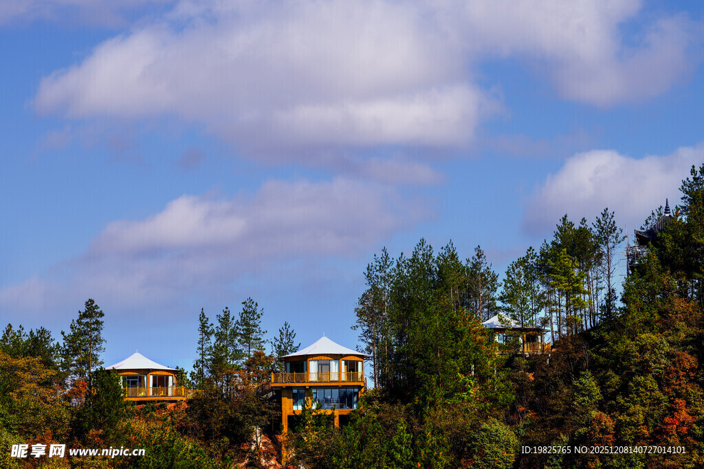 山间小屋隐于葱郁树林