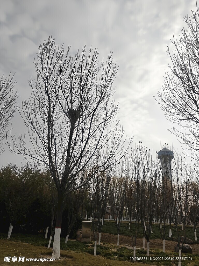 冬日公园的空旷景致