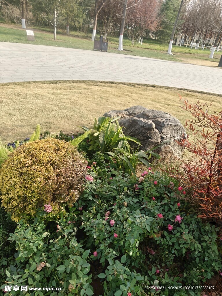 公园多彩植物与岩石景观