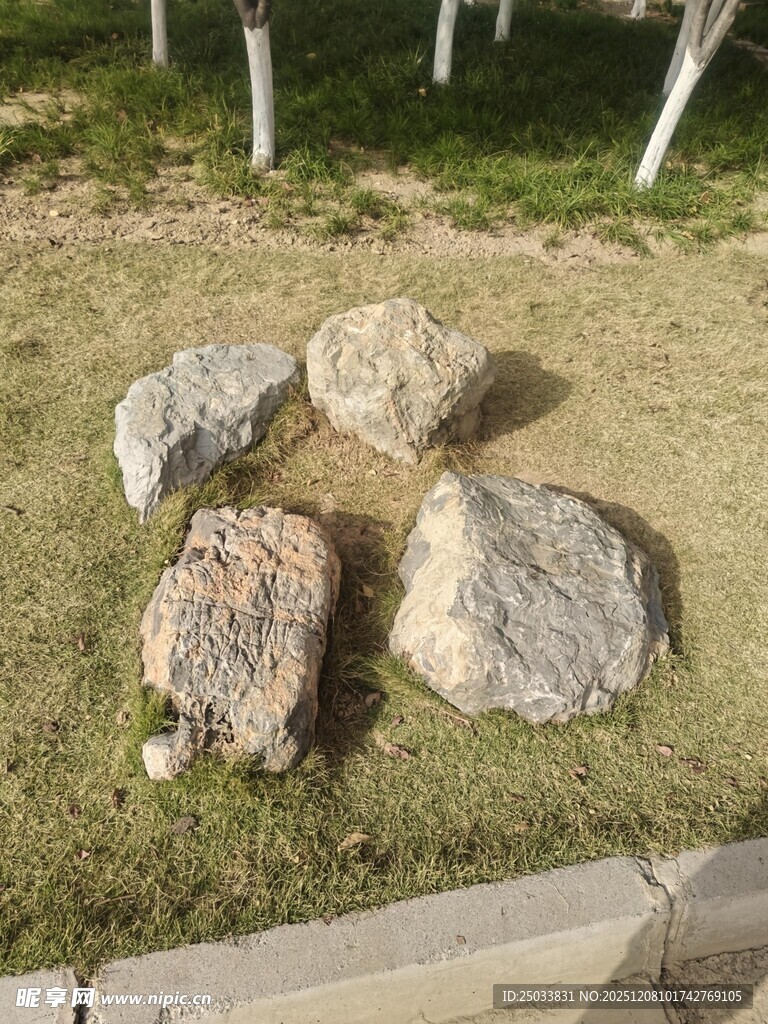 户外草地摆放的几块石头