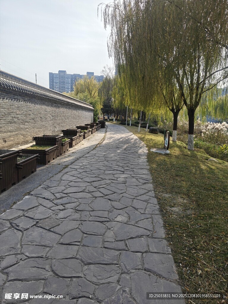 石板小径旁的葱郁绿树