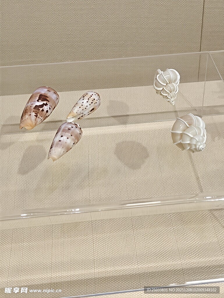 精致珠宝首饰展示