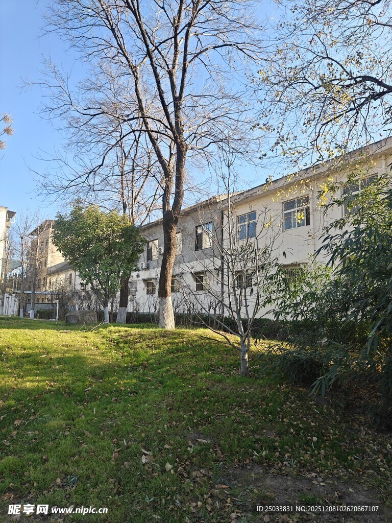 阳光照耀下的宁静居民楼