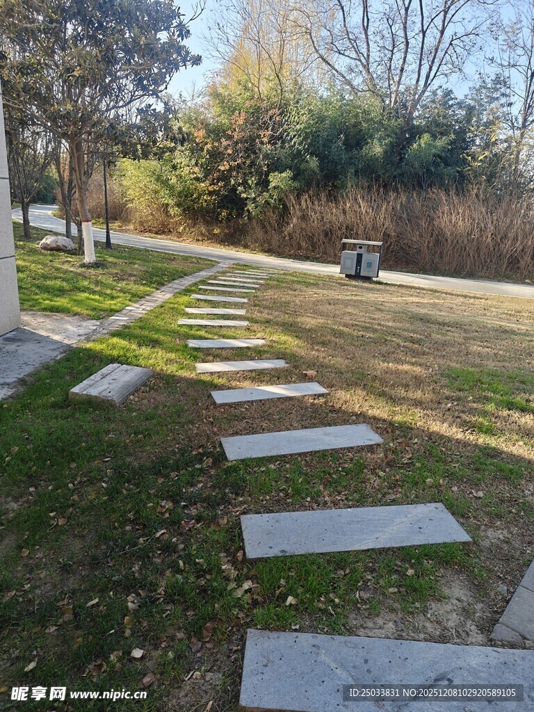 林间石板小径静谧自然