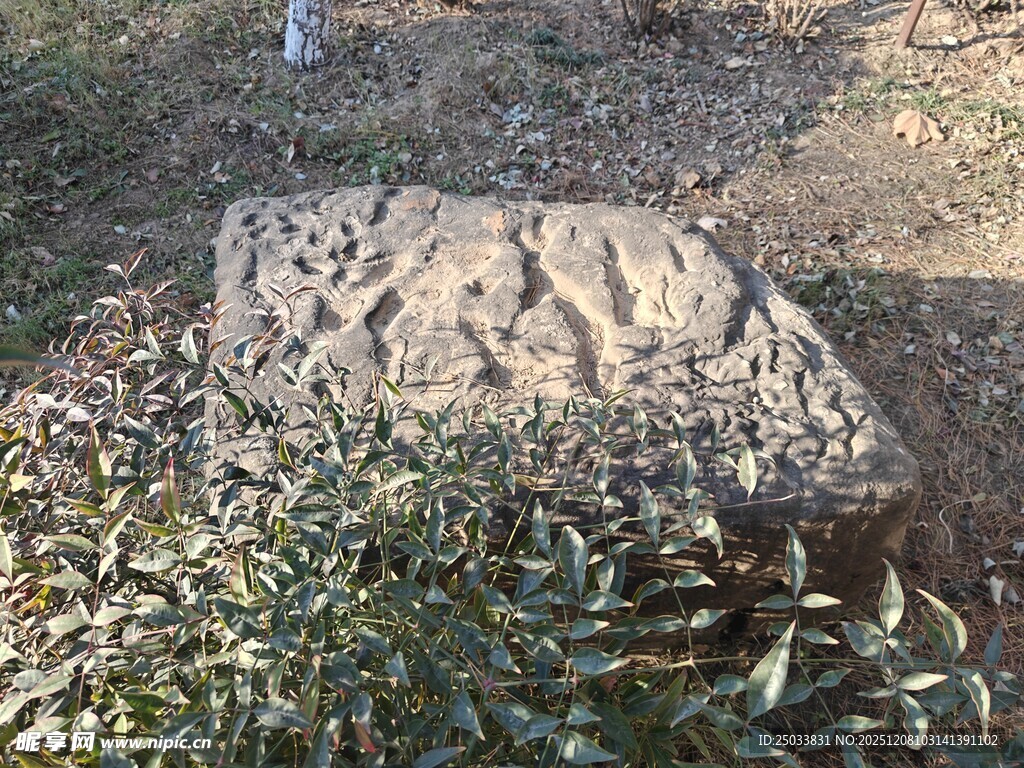 古老石雕静卧绿植之中