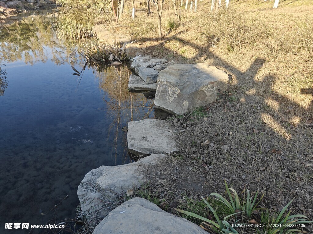池塘边的石径与光影景色