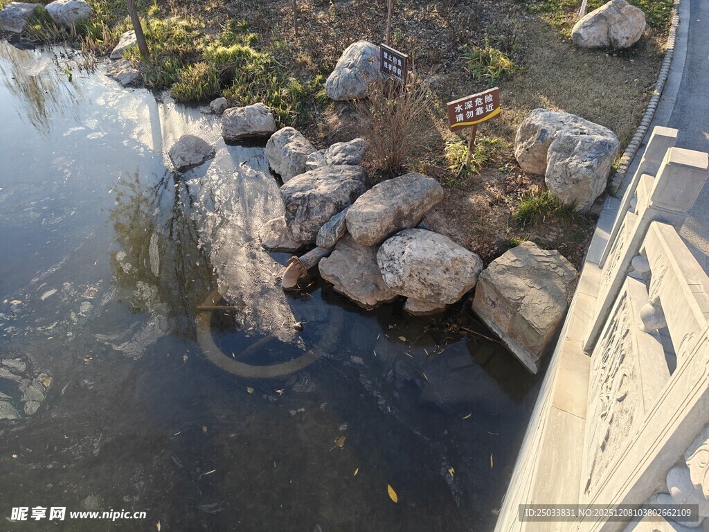 池塘边的石头与水中涟漪