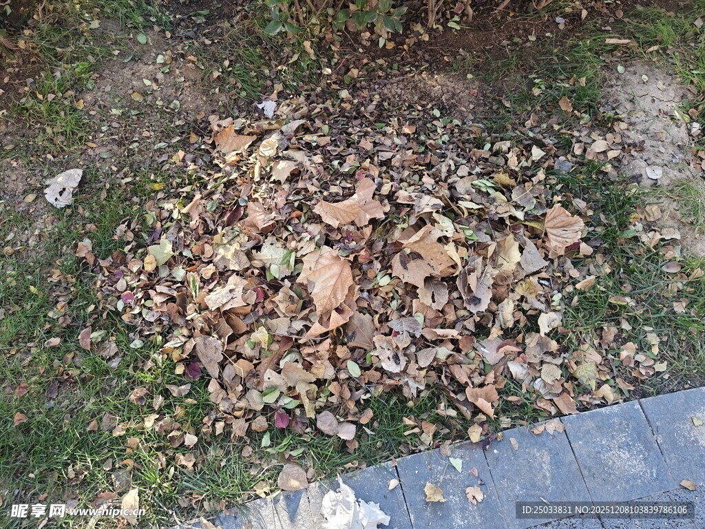 地面上的碎石堆