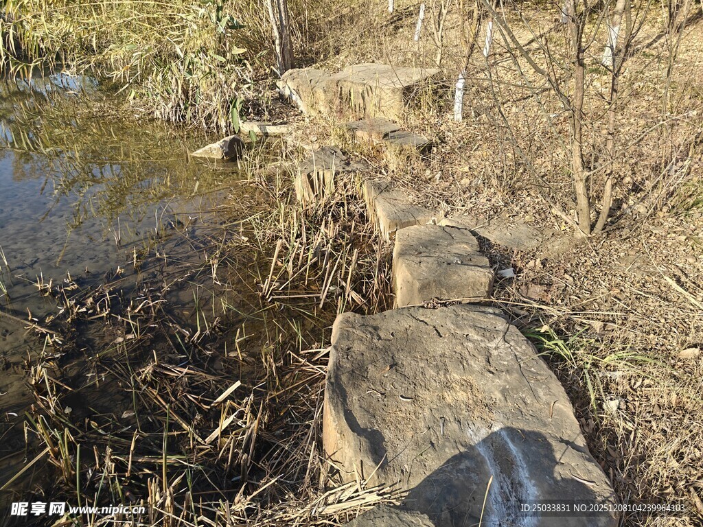 溪边石块与枯黄草木景观