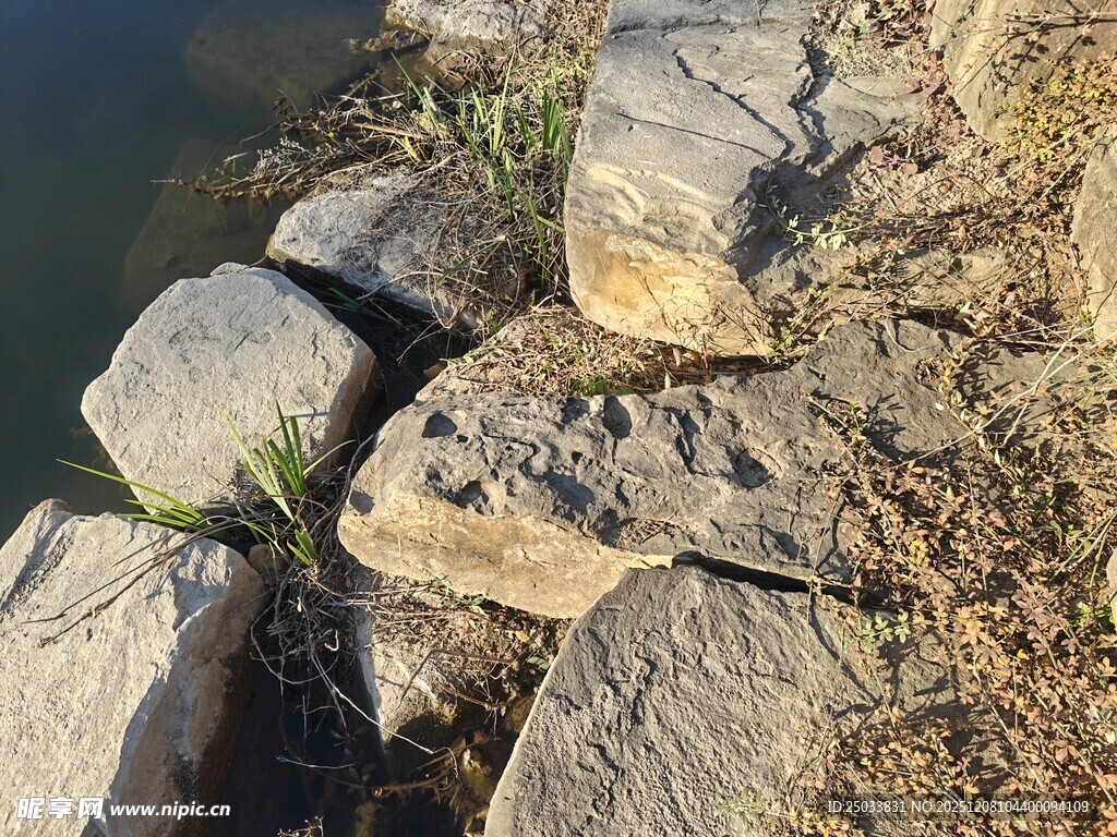 岸边石块与零星小草