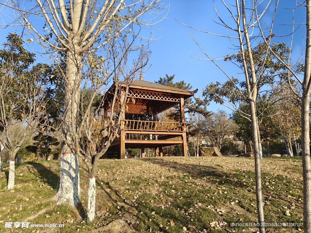 林间木屋静享自然之美