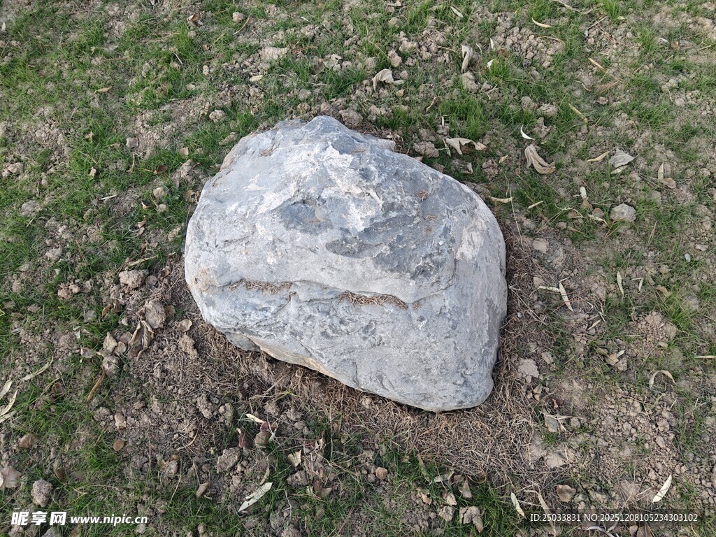 草地上的一块大石头